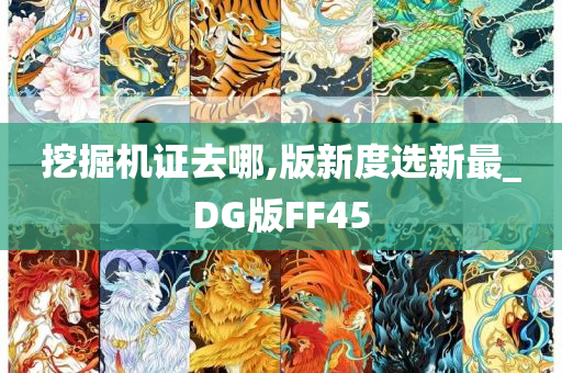 挖掘机证去哪,版新度选新最_DG版FF45