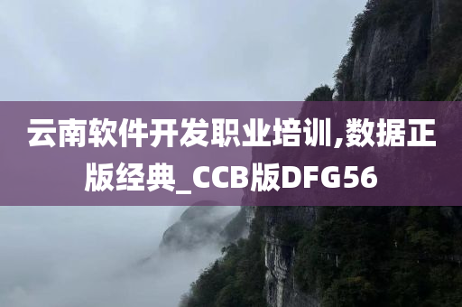 云南软件开发职业培训,数据正版经典_CCB版DFG56