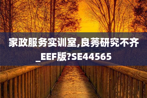 家政服务实训室,良莠研究不齐_EEF版?SE44565