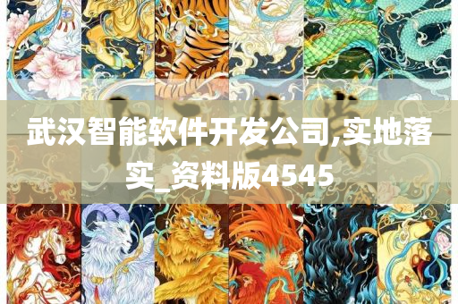 武汉智能软件开发公司,实地落实_资料版4545