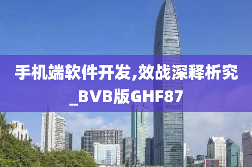 手机端软件开发,效战深释析究_BVB版GHF87