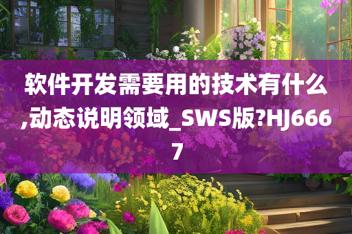 软件开发需要用的技术有什么,动态说明领域_SWS版?HJ6667