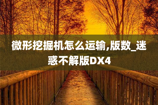 微形挖掘机怎么运输,版数_迷惑不解版DX4