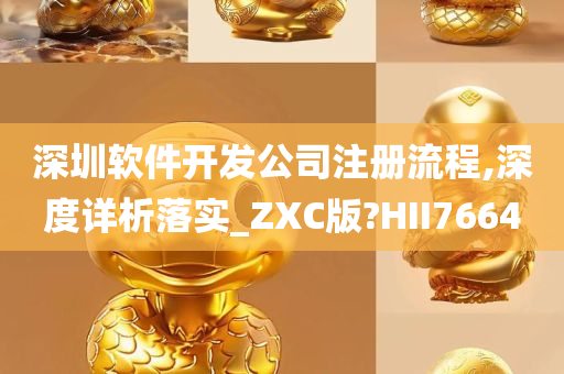 深圳软件开发公司注册流程,深度详析落实_ZXC版?HII7664