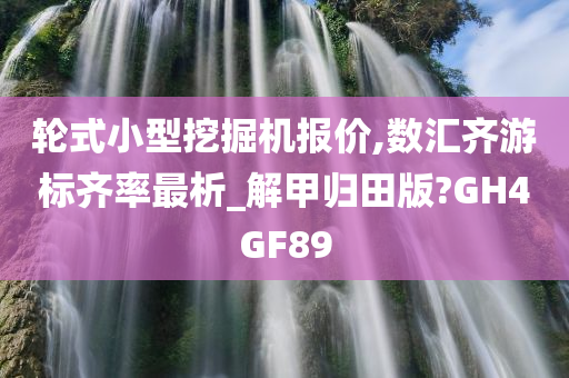 轮式小型挖掘机报价,数汇齐游标齐率最析_解甲归田版?GH4GF89