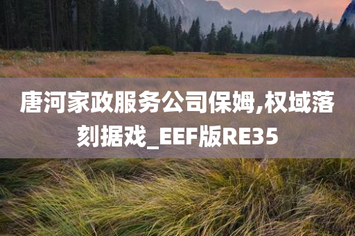 唐河家政服务公司保姆,权域落刻据戏_EEF版RE35