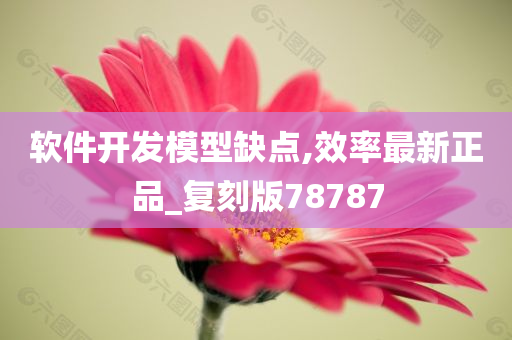 软件开发模型缺点,效率最新正品_复刻版78787