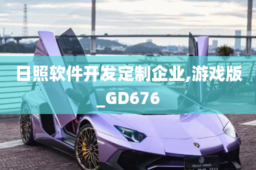 日照软件开发定制企业,游戏版_GD676