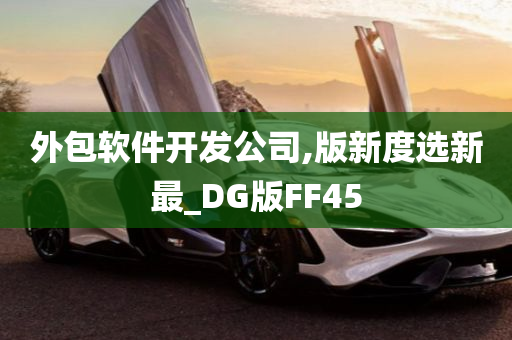 外包软件开发公司,版新度选新最_DG版FF45