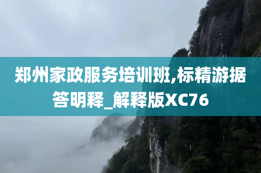 郑州家政服务培训班,标精游据答明释_解释版XC76