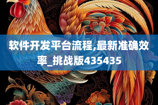 软件开发平台流程,最新准确效率_挑战版435435