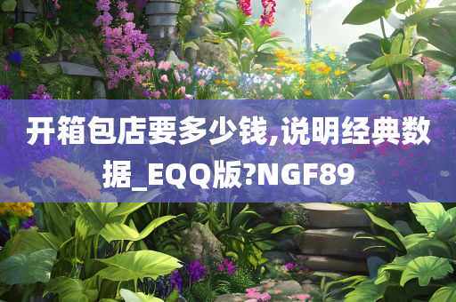 开箱包店要多少钱,说明经典数据_EQQ版?NGF89