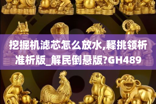 挖掘机滤芯怎么放水,释挑领析准析版_解民倒悬版?GH489