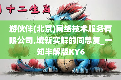 游伙伴(北京)网络技术服务有限公司,域新实解的同总复_一知半解版KY6