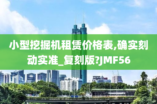 小型挖掘机租赁价格表,确实刻动实准_复刻版?JMF56