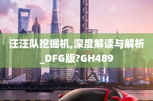 汪汪队挖掘机,深度解读与解析_DFG版?GH489