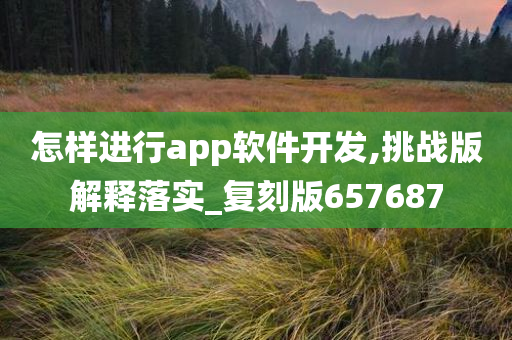 怎样进行app软件开发,挑战版解释落实_复刻版657687