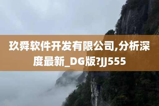 玖舜软件开发有限公司,分析深度最新_DG版?JJ555