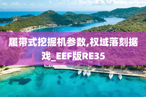 履带式挖掘机参数,权域落刻据戏_EEF版RE35