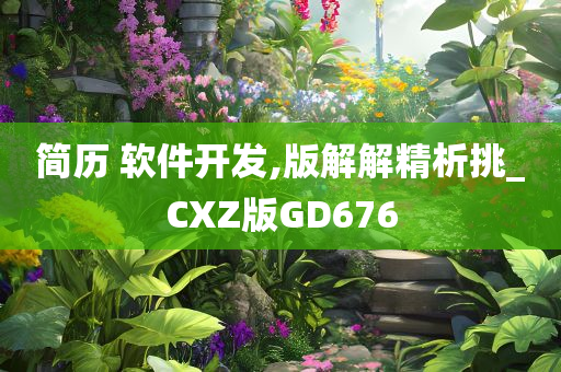 简历 软件开发,版解解精析挑_CXZ版GD676