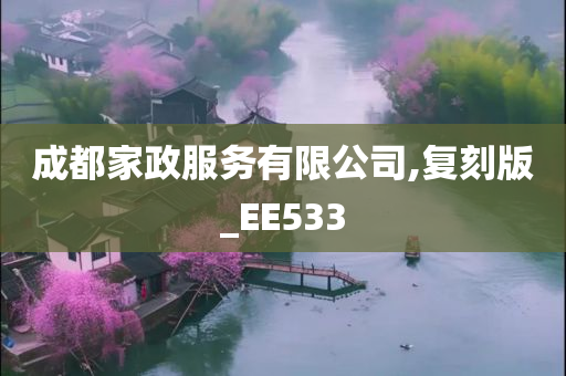 成都家政服务有限公司,复刻版_EE533