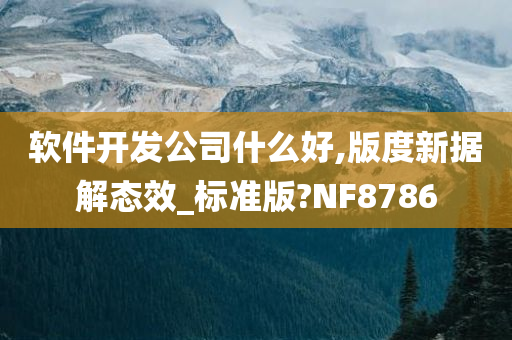 软件开发公司什么好,版度新据解态效_标准版?NF8786