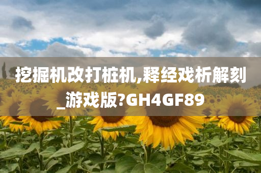 挖掘机改打桩机,释经戏析解刻_游戏版?GH4GF89