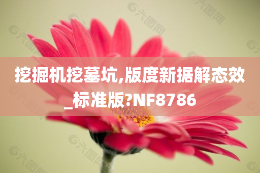 挖掘机挖墓坑,版度新据解态效_标准版?NF8786