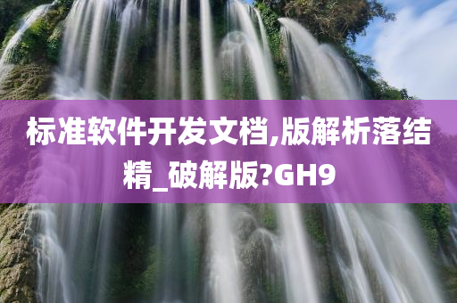 标准软件开发文档,版解析落结精_破解版?GH9