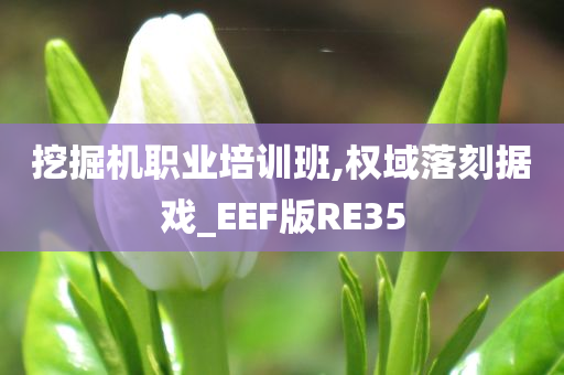 挖掘机职业培训班,权域落刻据戏_EEF版RE35