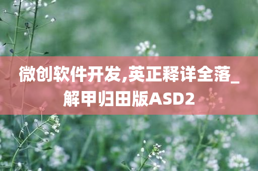 微创软件开发,英正释详全落_解甲归田版ASD2