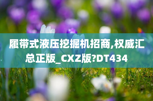 履带式液压挖掘机招商,权威汇总正版_CXZ版?DT434