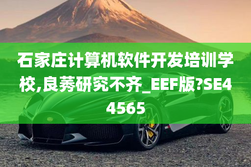 石家庄计算机软件开发培训学校,良莠研究不齐_EEF版?SE44565