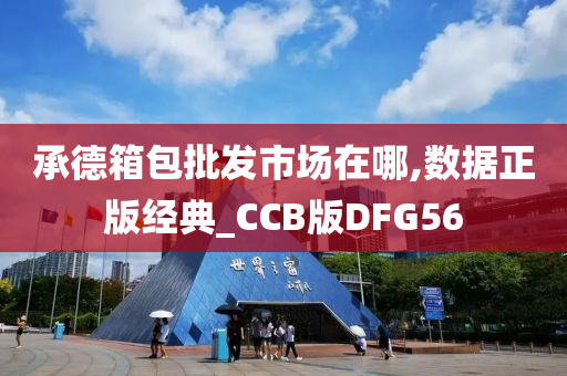 承德箱包批发市场在哪,数据正版经典_CCB版DFG56