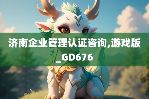 济南企业管理认证咨询,游戏版_GD676