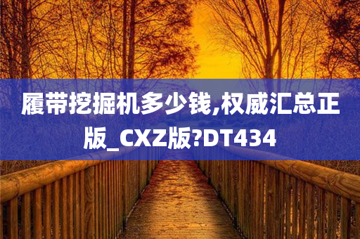 履带挖掘机多少钱,权威汇总正版_CXZ版?DT434