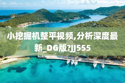 小挖掘机整平视频,分析深度最新_DG版?JJ555