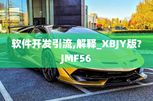 软件开发引流,解释_XBJY版?JMF56