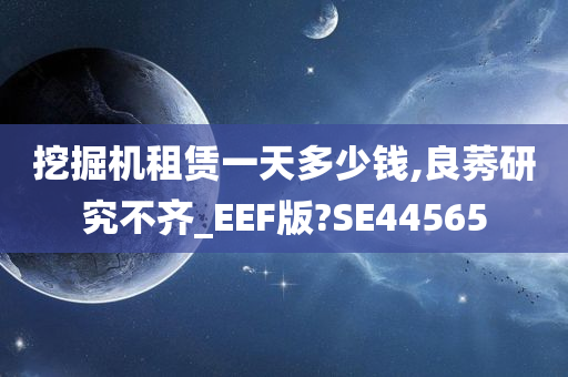 挖掘机租赁一天多少钱,良莠研究不齐_EEF版?SE44565