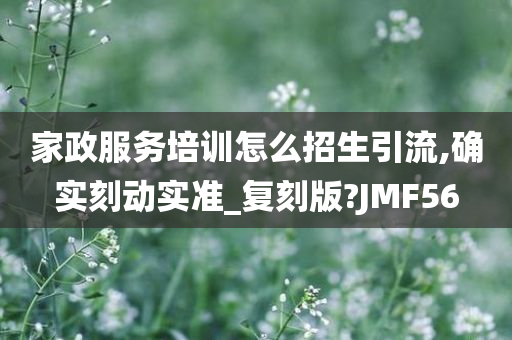 家政服务培训怎么招生引流,确实刻动实准_复刻版?JMF56