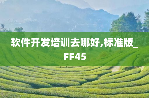 软件开发培训去哪好,标准版_FF45