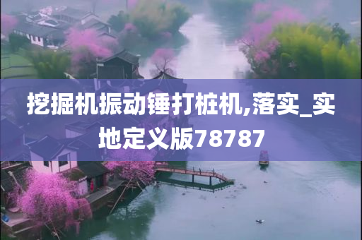 挖掘机振动锤打桩机,落实_实地定义版78787