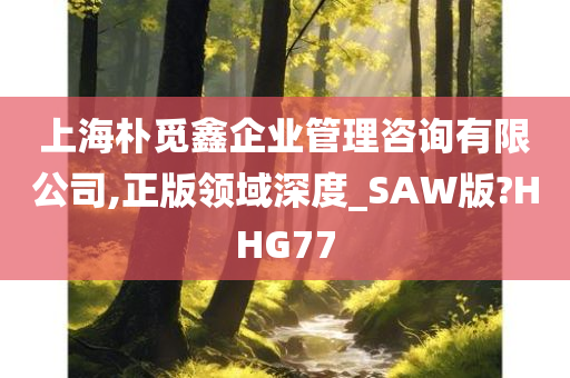 上海朴觅鑫企业管理咨询有限公司,正版领域深度_SAW版?HHG77