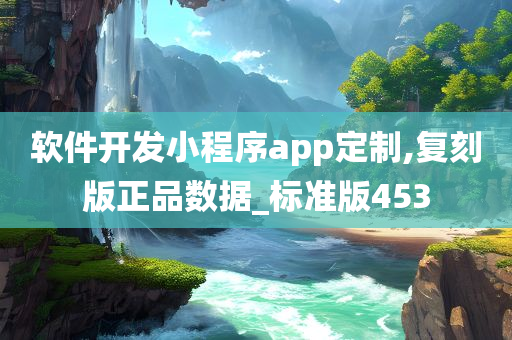 软件开发小程序app定制,复刻版正品数据_标准版453