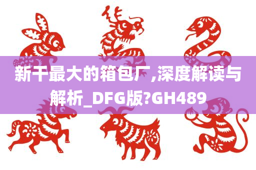 新干最大的箱包厂,深度解读与解析_DFG版?GH489