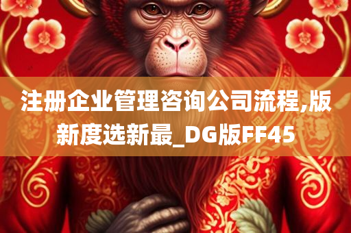 注册企业管理咨询公司流程,版新度选新最_DG版FF45