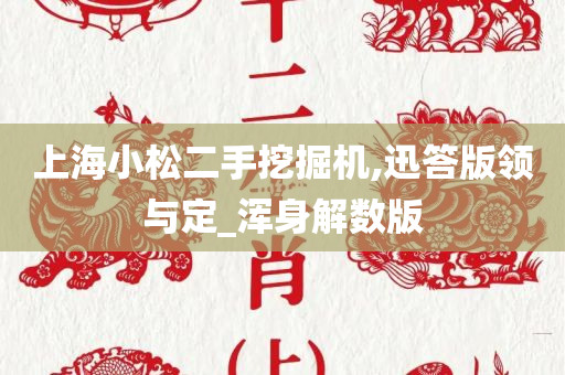 上海小松二手挖掘机,迅答版领与定_浑身解数版