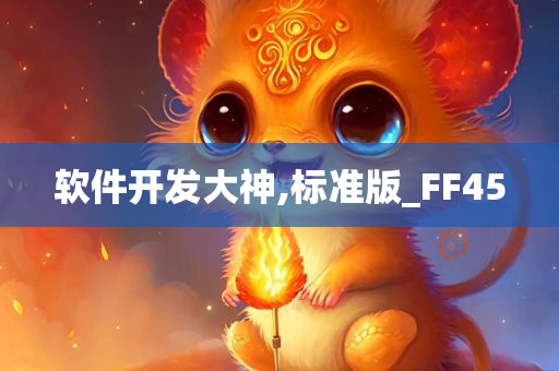 软件开发大神,标准版_FF45