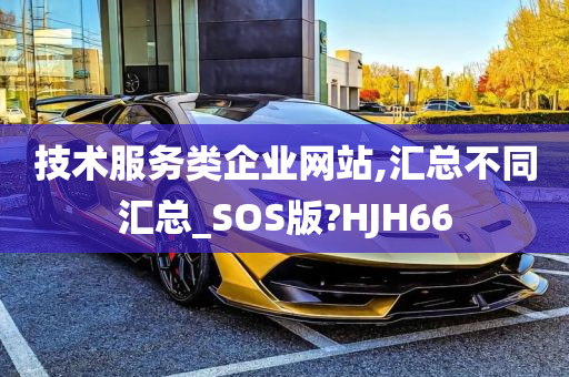 技术服务类企业网站,汇总不同汇总_SOS版?HJH66