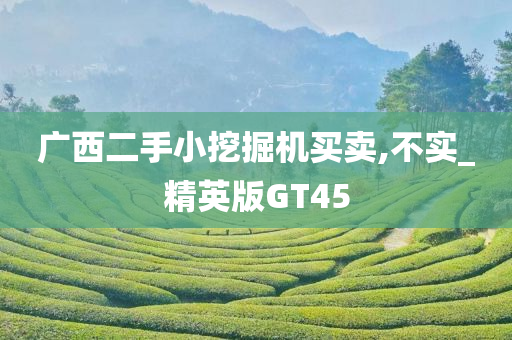 广西二手小挖掘机买卖,不实_精英版GT45